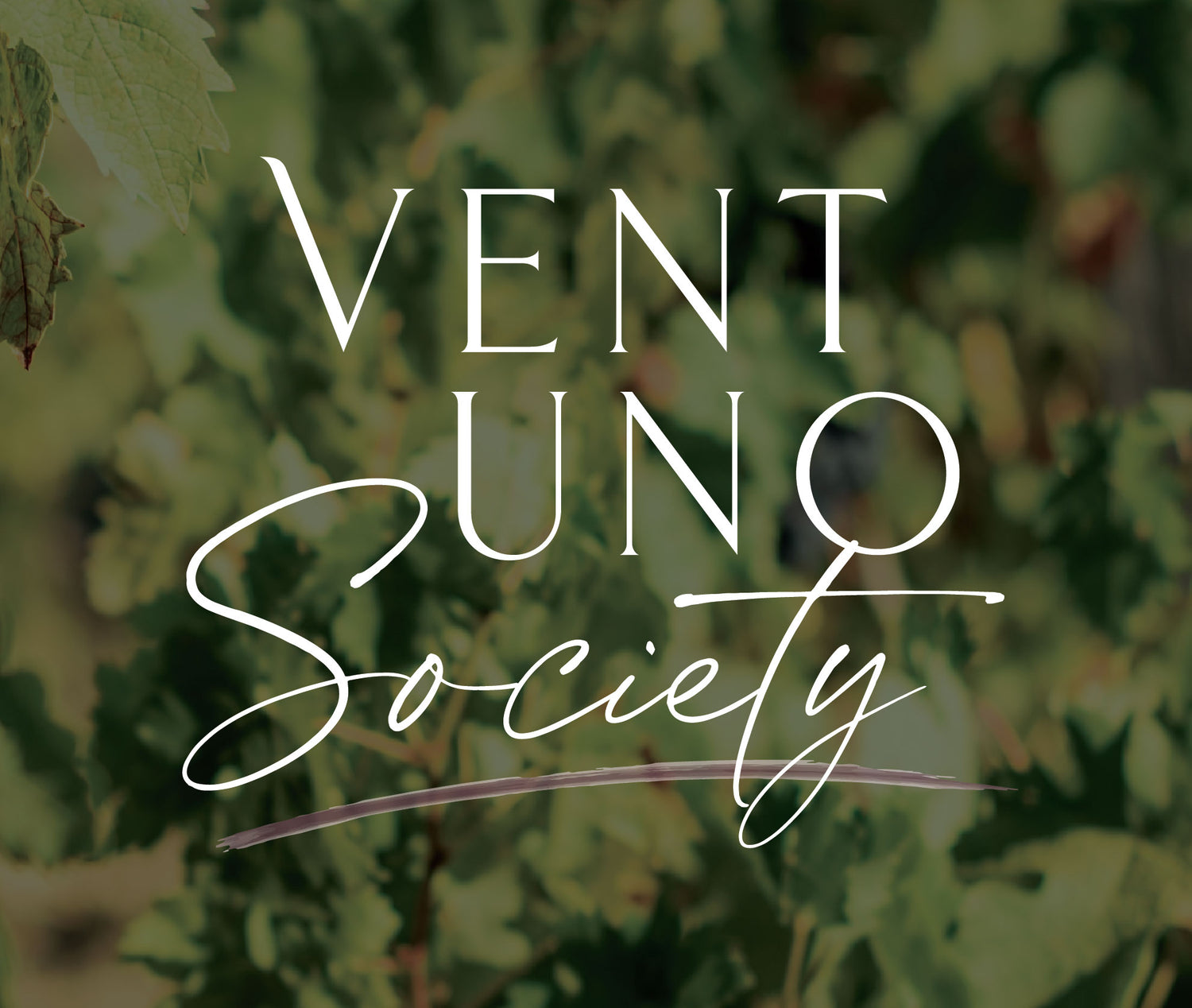 Ventuno Society